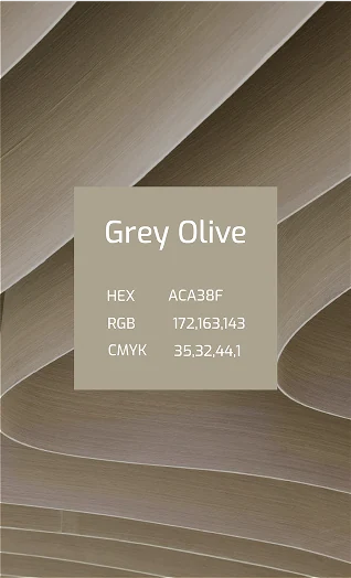 Palette card: Grey Olive (HEX ACA38F, RGB 172 163 143, CMYK 35 32 44 1)