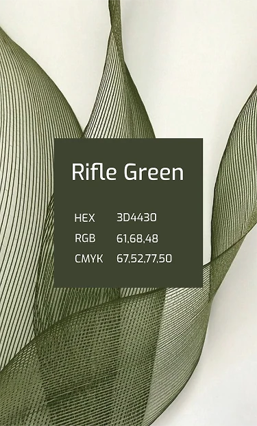 Palette card: Rifle Green (HEX 3D4430, RGB 61 68 48, CMYK 67 52 77 50)